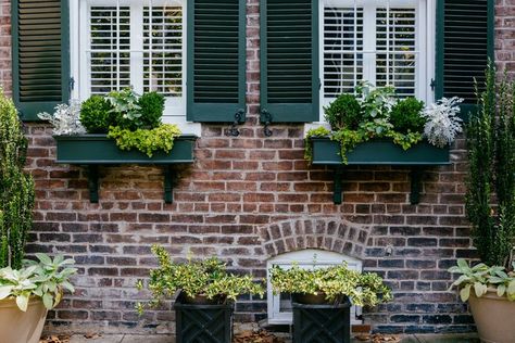 Houses With Window Boxes, Window Boxes On Brick House, House With Window Boxes, Window Box Ideas, Window Box Garden, Two Story Windows, Box Garden, Window Box Flowers, Spring Window