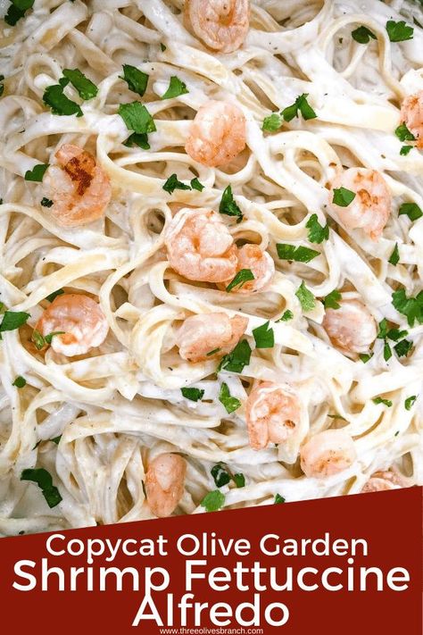 This Copycat Olive Garden Shrimp Alfredo recipe is just like the restaurant dish! Creamy Parmesan cheese sauce is tossed with pasta and shrimp. #fettuccinealfredo #shrimpfettuccinealfredo #shrimpalfredo #alfredosaucerecipe Olive Garden Shrimp Alfredo, Fettuccine Alfredo Sauce Recipe, Fetuccini Alfredo, Shrimp Alfredo Pasta Recipes, Fettuccine Alfredo Sauce, Seafood Alfredo, Shrimp Alfredo Recipe, Shrimp Fettuccine Alfredo, Olive Garden Alfredo Sauce