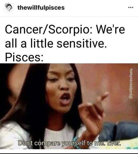 Pisces Memes Truths, Pisces Memes Funny So True, Pisces Memes Funny, Pisces Humor, Memes Funny So True, Pisces Vibes, About Pisces, Pisces Aesthetic, Corny Quotes