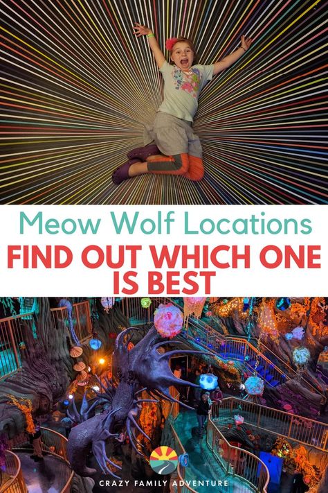 Contains 2 frames the top picture shows a little girl laying on a art installation, the bottom frame shows a down view of Meow Wolf Denver, Meow Wolf Review Best Road Trips In America, Out West Road Trip, Trips Aesthetic, West Road Trip, Usa Road Trips, Meow Wolf, East Coast Road Trip, Best Road Trips, Travel Bucket List Usa