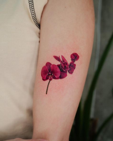 Orchid Tattoo Design, Orchid Tattoo Meaning, Best Flower Tattoos, Frangipani Tattoo, New Beginning Tattoo, Realistic Flower Tattoo, Green Tattoos, Daffodil Tattoo, Orchid Tattoo