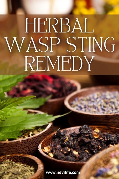 Summer is a wonderful time for outdoor activities, but it also brings the risk of wasp stings. While these stings are usually more of a painful nuisance than a serious health threat, they can cause significant discomfort. At Nevilife, we believe in the power of natural remedies to soothe and heal. In this blog post, we'll explore effective natural remedies for wasp stings and share some tips on how to prevent stings in the first place. Skin Healing Remedies, Wasp Sting Remedy, Wasp Sting, Healing Spices, Natural Remedies For Headaches, Nutritional Healing, Herbal Facial, Wasp Stings, Remedies For Headaches