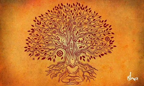 Kalpavriksha - How to Manifest What You Want Kalpavriksha Tree, Yoga Articles, Isha Yoga, Law Of Attraction Meditation, Theory Of Evolution, Wishing Tree, Spiritual Manifestation, Let It Out, Meditation Techniques