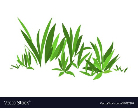 Grass Illustration, Grass Vector, Green Grass, Transparent Png, Png Images, Vector Images, Vector Free, Illustrator, Royalty Free