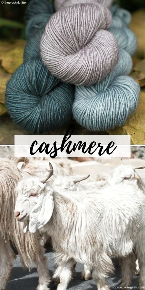 This soft wool is sourced from Cashmere Goats, and its name comes from Kashmir state in South Asia. Unlike other kinds of yarn, the process of collecting wool from these animals is much more time and labor-consuming. Instead of shearing, cashmere wool is collected by combing only once a year, so that one goat produces much less wool than a regular sheep. All this makes the wool highly valued and expensive.  #crochet #howtocrochet #yarntypes #cashmere Cashmere Goat, Clothing Store Design, Spinning Wool, Cashmere Yarn, Knitting Wool, Merino Wool Yarn, Goat Farming, Spinning Yarn, Types Of Yarn