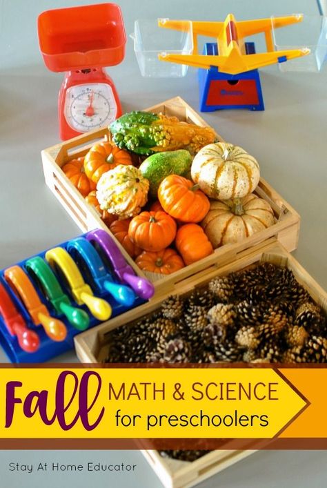 Fall Math and Science Center for Preschoolers - Teach your preschooler all how measurement and science with the nature based fall science and math center. Fall Science Center, Science For Preschoolers, Math And Science Activities, Science Center Preschool, Science Area, Fall Science, Fall Centers, Science Concepts, Fall Preschool Activities