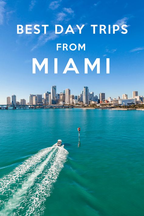 Visiting Miami and want to make the most of your stay? Here’s a list of the 10 best day trips from Miami. All top Florida destinations, along with travel time, tips on what to see and do and more. Birthday Trip Itinerary, Visiting Miami, Miami Birthday, Travel Florida, Florida Destinations, Perfect Road Trip, Birthday Trip, Manatees, Kayak Trip