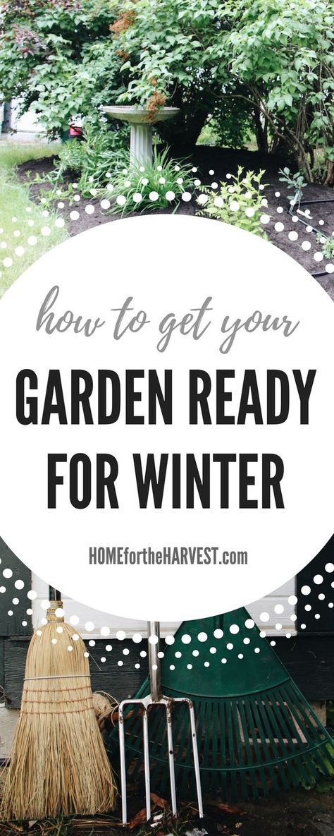 Tutorial + Free Printable Checklist: How to Get Your Garden Ready for Winter. This article includes a checklist of fall chores plus a detailed list of everything you'll need to do to clean up your garden in the fall. | Home for the Harvest Fall Yard Work, Pruning Plants, Small Yard Landscaping, Organic Vegetable Garden, Winter Vegetables, Printable Checklist, Organic Gardening Tips, Olive Garden, Garden Pests