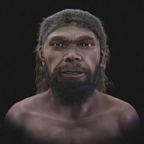 Face of the oldest human being revealed after 300,000 years | Tech News | Metro News Work Pictures, Oldest Human, Feel Good Stories, Person Of Interest, High Fat Diet, Human Skull, Human Being, Male Face, Tech News