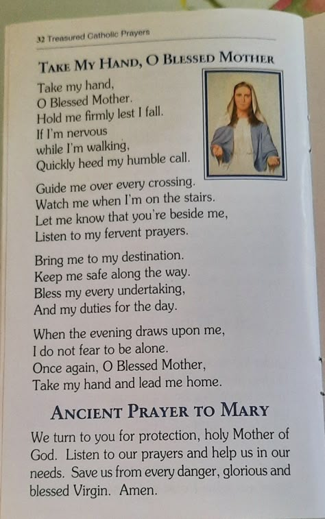 Mother Mary Quotes, Folk Catholicism, Catholic Saints Prayers, Marian Devotion, Catholic Bible Verses, Saints Prayers, Catholic Prayers Daily, Catholic Theology, Prayer Catholic