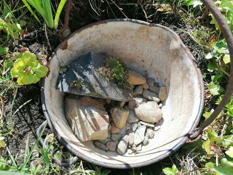 Build a Tiny Pond - Centre for Alternative Technology Tiny Pond, Pond Dipping, Outdoor Ponds, Pond Plants, Healthy Water, Wildlife Gardening, Small Ponds, Water Sources, Family Activity