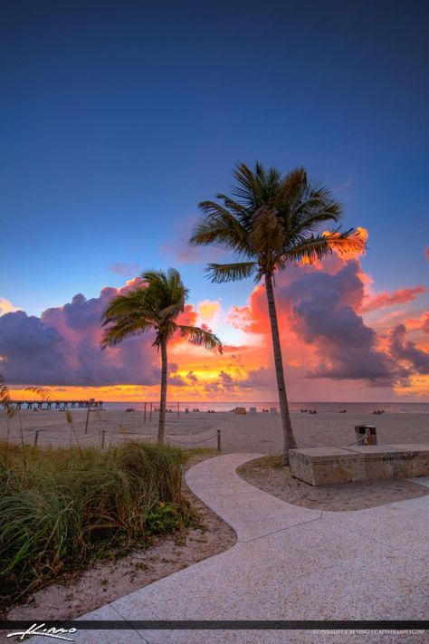 Florida Palm Beach, Pro Pictures, Florida Wallpaper, Sunrise At The Beach, Beach With Palm Trees, Florida Palm Trees, Tropical Scenery, Pompano Beach Florida, Clearwater Beach Florida