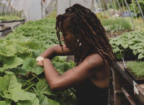 “I farm for the sake of my own sanity and it is a therapy for my own deep trauma within my lifetime. But I think I feel like I’m just here to continue what Fannie Lou Hamer was doing years ago.” #socialchange #farming #agriculture #traumarecovery Modern Farmer, Female Farmer, Black Person, Garden Girls, Plants And Flowers, Grow Your Own Food, Plant Mom, Growing Food, Petunias