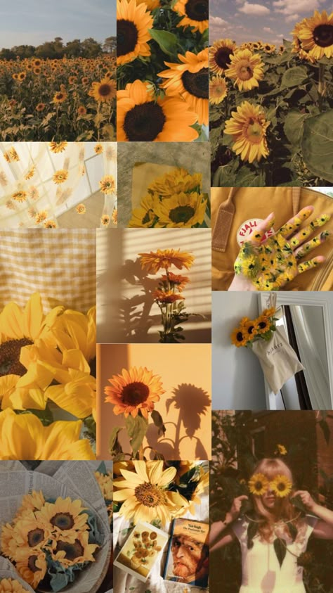 Sunflower Backgrounds Aesthetic, Sunflowers Aesthetic Wallpaper, Aesthetic Wallpaper Sunflower, Soft Yellow Aesthetic Wallpaper, Sunflower Wallpaper Aesthetic Vintage, Vintage Sunflower Aesthetic, Bright Wallpaper Aesthetic, Sunflower Mood Board, Sunflower Wallpaper Aesthetic