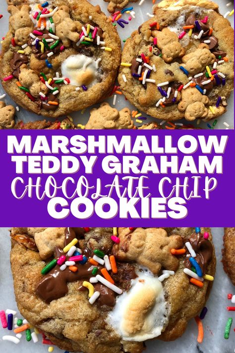 Insane Desserts, Chocolate Chip Cheesecake Brownies, Dirt Cupcakes, Graham Recipe, Printed Marshmallows, Graham Dessert, Graham Cookies, Teddy Grahams, Food Buffet