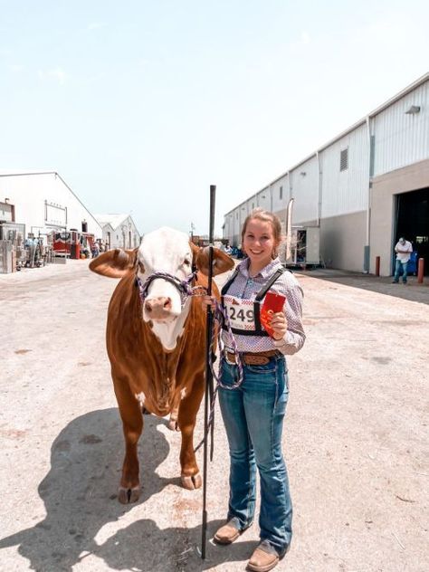 Show Cow Aesthetic, Livestock Showing Outfits, Showing Livestock Outfits, Show Outfits Livestock, Livestock Outfits, Cattle Aesthetic, Livestock Show Outfits, Showing Outfits, Cattle Showing