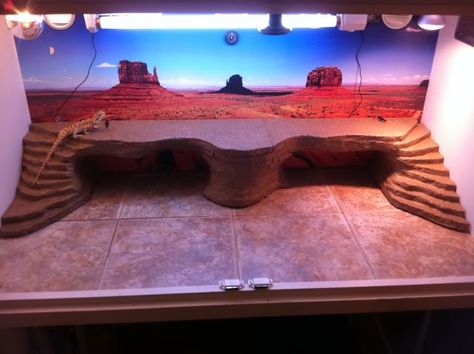 Double ramp with basking platform for the beardie Bearded Dragon Basking Platform, Bearded Dragon Diy, Diy Reptile, Bearded Dragon Terrarium, Bearded Dragon Enclosure, Bearded Dragon Cage, Bearded Dragon Habitat, Bearded Dragon Diet, Baby Bearded Dragon