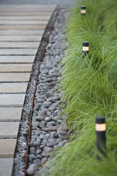 Short Ornamental Grasses, Ornamental Grass Landscape, Front Garden Design, Grasses Landscaping, Grasses Garden, Have Inspiration, Creative Gardening, Landscaping Tips, Ideas Garden