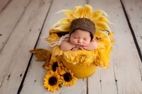 Yellow Newborn Session - Sunflower Newborn Session - Bold and Colorful Newborn Photography - Newborn Photographer - Baby Photography - Baby Photographer - Newborn Session - Newborn Art - Newborn Portraits. Captured by Claudia is a newborn photographer in the Laredo Texas area. Specializing in custom newborn photography as well as fine art Maternity, Baby and First Birthday. Dragonfly Photography, Laredo Texas, Newborn Art, Jennifer Taylor, Newborn Shoot, Newborn Portrait, Baby Portraits, Newborn Photoshoot, Hand Felted