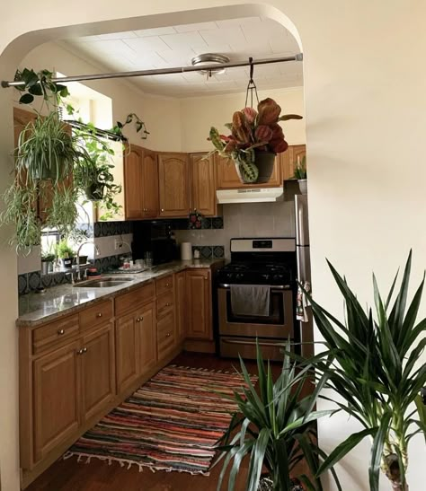 Kitchen Idea Apartment, Apartment Kitchen Wood Cabinets, Earthy Apartment Kitchen, Small Earthy Apartment, Plants On Cabinets, Warm Home Aesthetic Kitchen, Natural Apartment Aesthetic, Cheap Apartment Aesthetic, Plant Kitchen Aesthetic