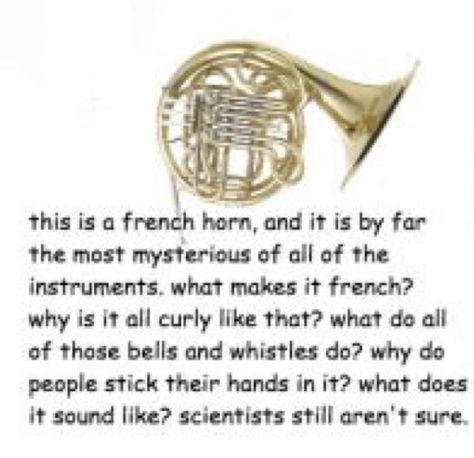 French Horn Humor, French Horn Music, Musical Jokes, Band Problems, Musician Humor, Marching Band Humor, Band Jokes, Orchestra Music, Music Jokes