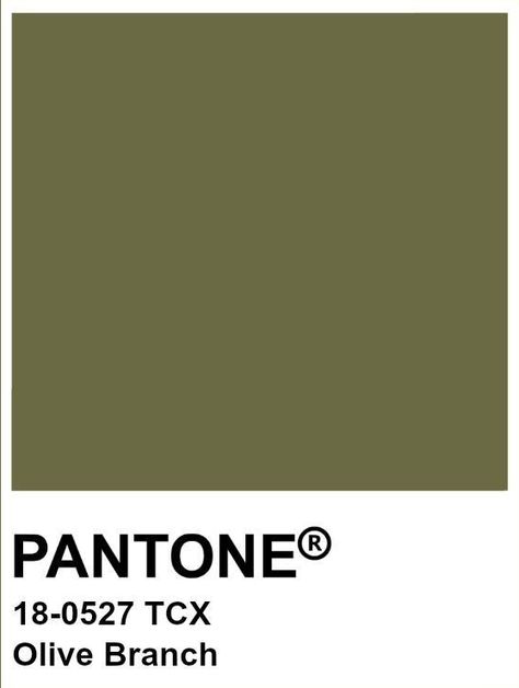 My Colour Palette, Apple Wine, Retro Eclectic, Colour Palette Inspiration, Trend Board, Palette Inspiration, Late Spring, Board Inspiration, Olive Green Color