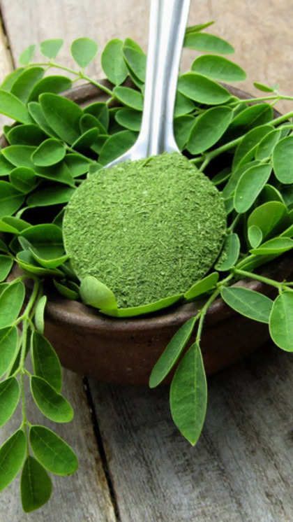 Moringa Smoothie, Moringa Benefits, Moringa Leaf Powder, Moringa Tree, Nutrient Packed Smoothies, Fire Cider, Moringa Leaves, Healthy Lungs, Moringa Powder