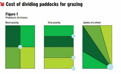 https://www.farmersjournal.ie/setting-up-a-paddock-grazing-system-179820 Rotational Grazing Layout, Keyline Design, Hobby Farms Layout, Cattle Housing, Sheep Fence, Rotational Grazing, Horse Shelter, Garden Pond Design, Homestead Ideas