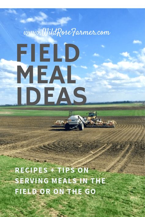 Tired of serving PB&J? Here's some great recipes + tips and tricks to serving a hot meal on the go during busy times on the farm or ranch  #WildRoseFarmer #harvestmeals #fieldmeals Meals In The Field, Farmer Meals, Farm Meals, Portable Meals, Ranching Life, Harvest Meals, Turkey Sweet Potato Chili, Homestead Food, Slow Cooker Bbq Beef