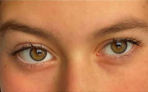 Eyebrow Claims For Dr, Hazel Doe Eyes, Light Amber Eyes, Light Hazel Eyes, Light Brown Eyes, Honey Eyes, Hazel Green Eyes, Beautiful Eyes Color, Charming Eyes