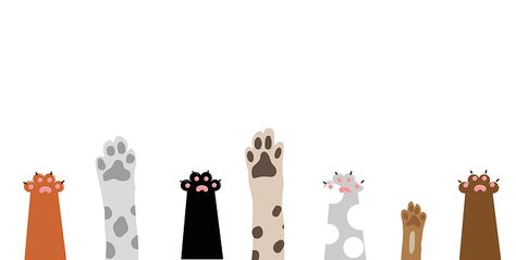 Paws, Cat, Dog, Playful, Cute Animal Wallpaper Computer, Dog Desktop Wallpaper Aesthetic, Aesthetic Cat Wallpaper Pc, Cat Wallpaper Desktop Hd, Paw Illustration, Cat Pattern Wallpaper, Paw Wallpaper, Dog Design Art, Paws Cat