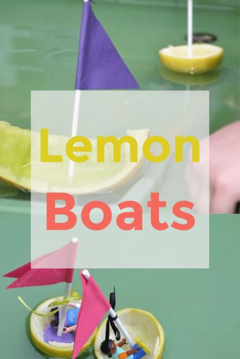 Lemon Theme Preschool Activities, Early Years Science, Preschool Transportation, Experiment Science, Water Transport, Lemon Crafts, Water Experiments, Sensory Tubs, Transportation Activities