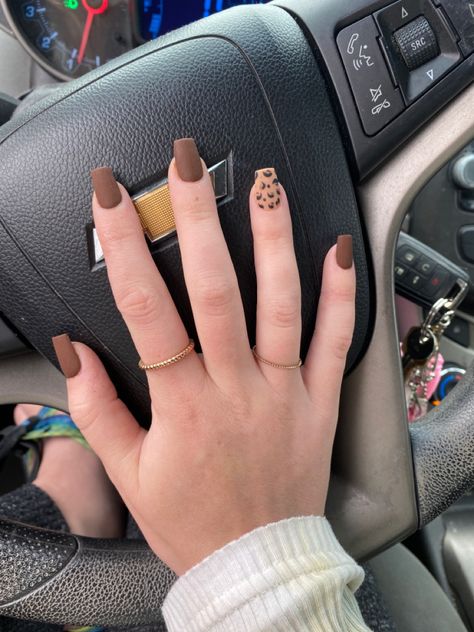 Fall Nails Ideas Acrylic Coffin Long, Brown Nails Gel, Alex Martin, Sinful Colors Nail Polish, Nails Brown, Small Nails, Purple Acrylic Nails, Nails Gel Nails, Cheetah Nails