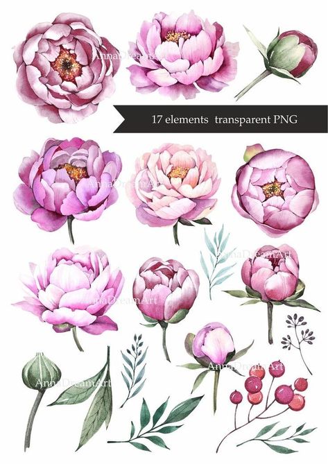 Flowers Elements, Peony Flower Tattoos, Wedding Postcards, Peony Drawing, House Artwork, Peony Leaves, Flowers Peony, Peony Art, Flower Drawing Tutorials