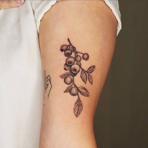 Black And Grey Blueberry Tattoo, Saskatoon Berry Tattoo, Blueberry Tattoo Black And White, Wild Blueberry Tattoo, Blueberry Plant Tattoo, Blueberry Bush Tattoo, Blueberry Vine Tattoo, Blueberry Tattoo Minimalist, Blueberry Branch Tattoo