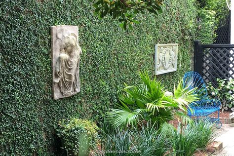 Wall covered in ivy with plants in front surrounding a small hidden patio Garden Room Aesthetic, Secret Garden Ideas, Magical Backyard, Secret Garden Door, Garden Aesthetics, Charleston Gardens, Relaxing Backyard, Backyard Dreams, Backyard Plan