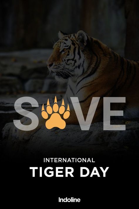 On International Tiger Day, let us be inspired by the strong and fearless tigers and make a promise to save them. International Tiger Day, Tiger Day, Be Inspired, Tigers