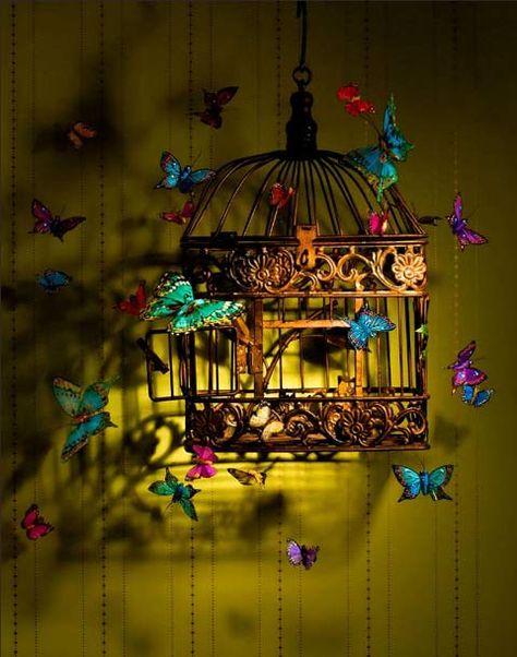 Birdcage Ideas, Desi Design, Cage Decor, Diy Luminaire, Pure Imagination, Bird Cage Decor, Social Art, Witchy Crafts, Deco Boheme