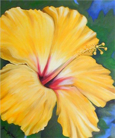 Oil Paintings Of Flowers | Flower Paintings by Key West Artist Janis Stevens Wine And Canvas, Flower Paintings, Plant Drawing, Flower Art Painting, Arte Floral, Yellow Flower, Hibiscus Flowers, Painting Projects, Flower Drawing