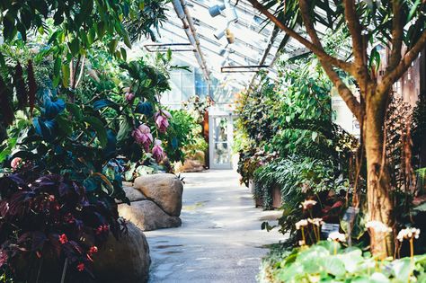 How to Create a Sacred Space Geothermal Greenhouse, Tropical Greenhouses, Montreal Botanical Garden, Best Greenhouse, Romeo Und Julia, Expensive Art, Courtyard Design, Diy Greenhouse, Greenhouse Gardening