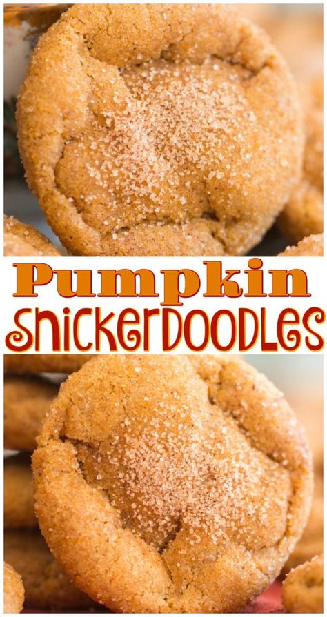 Pumpkin Snickerdoodles, Potluck Desserts, Snickerdoodle Recipe, Snickerdoodle Cookies, Snickerdoodle Cookie Recipes, Pumpkin Cookies, Pumpkin Dessert, Snickerdoodles, Cinnamon Sugar