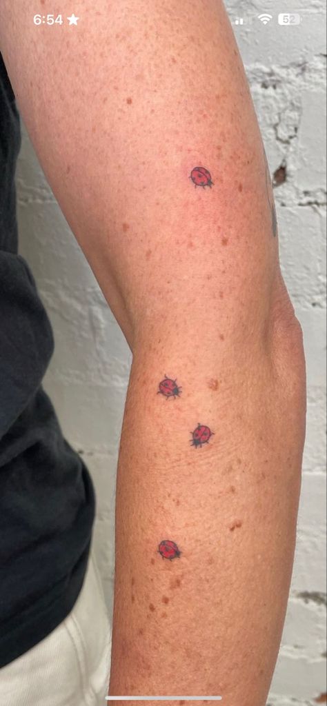 Ladybug Hand Tattoo, Stick Bug Tattoo, Lil Tattoo, Ladybug Tattoo, Unique Tattoo Ideas, Leopard Tattoos, Lady Bug Tattoo, Funky Tattoos, Bug Tattoo