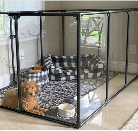 Luxury Dog Bedroom, Puppy Room Ideas, Dog Setup In Bedroom, Dog Play Area Indoor, Luxury Dog Room, Dog Room Design, Luxury Dog House, Dog Room Decor, Dog Bedroom