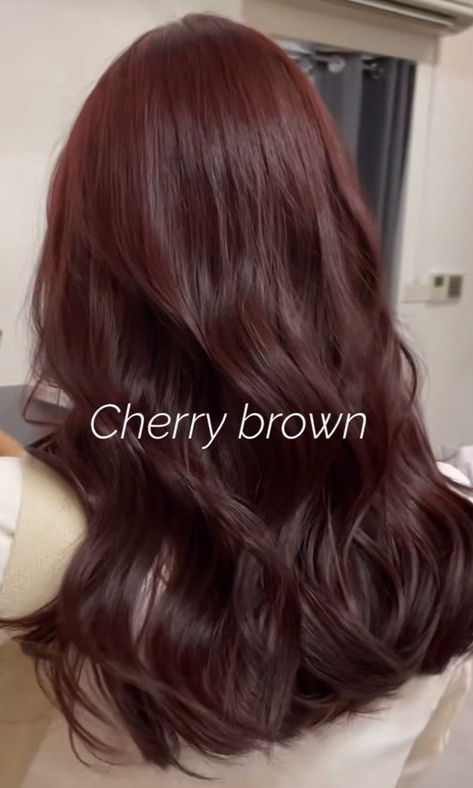 Korean winter hair color: cherry brown Rustic Brown Hair Color, Red Brown Shag Hair, Hair Color That Makes Your Skin Lighter, Popular Korean Hair Color, Cool Tone Red Brown Hair, Medium Brown Red Hair Color, Hair Color Inspo For Brown Skin, Dark Brown Hair With Auburn Undertones, Light Brown Hair For Brown Skin