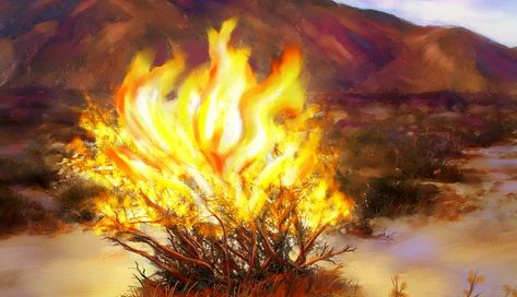 Burning Bush Craft, Burning Bush Plant, Moses Burning Bush, Goddess Nut, Moses And The Burning Bush, Where Is Jesus, The Burning Bush, Burning Bush, Bible Images