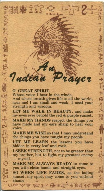 Native American Indian Wisdom Alfabeto Viking, Native Wisdom, Native Quotes, Indian Wisdom, American Indian Quotes, American Proverbs, Native American Prayers, Native American Spirituality, Native American Wisdom