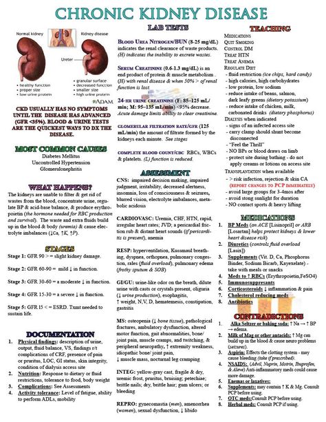 A Nursing Cheat Sheet to Assist in the Txmt of a Patient with CKD    https://www.facebook.com/Encouragement4Nurses?ref=tn_tnmn Nursing Cheat Sheet, Nursing Cheat, Nursing Information, Nursing Assessment, Nursing Mnemonics, Chronic Kidney, Nursing School Studying, Nursing School Tips, Nursing School Notes