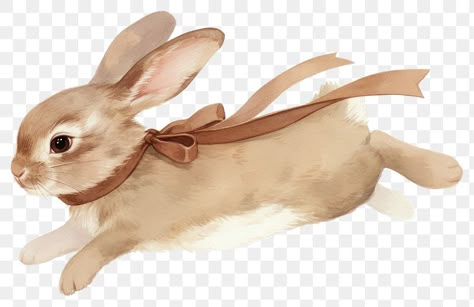 Brown Bunny Drawing, Ribbon Painting, Coquette Brown, Bunny Tattoo, Coquette Ribbon, Rabbit Png, Bunny Watercolor, Brown Bunny, Bunny Tattoos