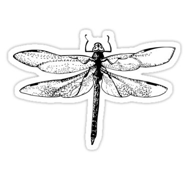 Dragonfly Redbubble Stickers. Cool tumblr sticker for laptop and planer. Redbubble sticker. Aesthetic Sticker Fairy Stickers, Black And White Stickers, Tumblr Stickers, Nature Stickers, Black Stickers, Phone Stickers, Journal Stationery, Aesthetic Stickers, Hardcover Notebook