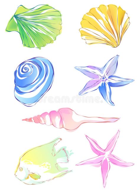 Scallop Illustration, Conch Drawing, Starfish Drawing, Vector Graphics Illustrations, Surf Art, Anatomy Art, Conch, Vector Graphics, Drawing Tutorial